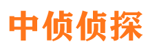 轮台市婚外情调查